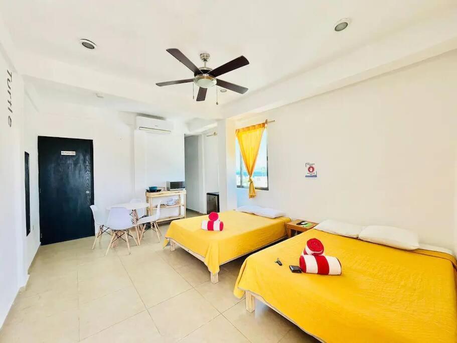 Turtle Suite, 5 Min Walking To The Turtle Piso3 Apartment Cancun