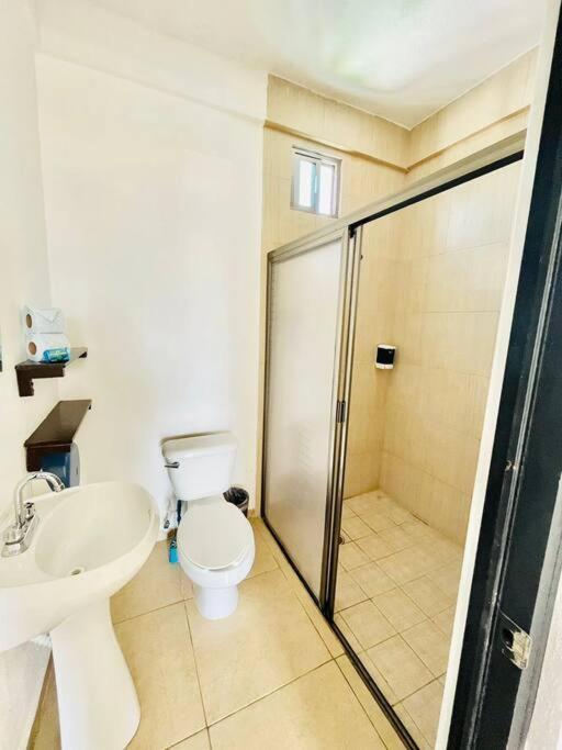 Apartment Turtle Suite, 5 Min Walking To The Turtle Piso3 *